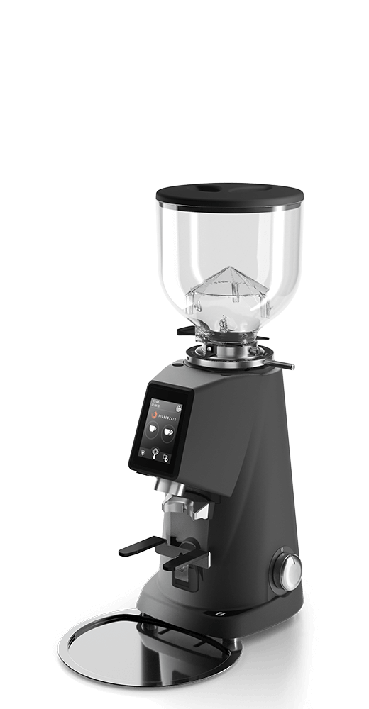 Molinillo de Café Fiorenzato F4 Evo