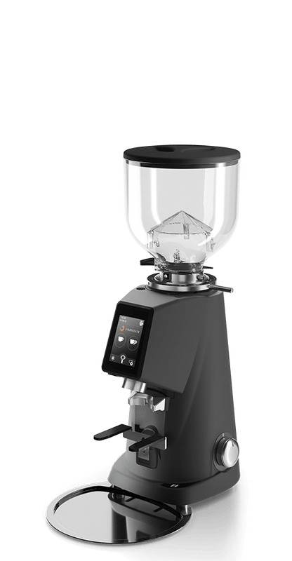 Molinillo de Café Fiorenzato F4 Evo